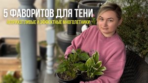 «ВЫРАСТУТ  ДАЖЕ  В ГЛУШИ! 5 шикарных многолетников для тени»