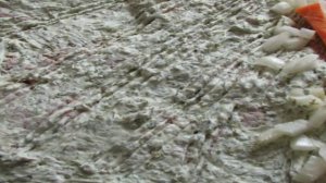 Свиной рулет