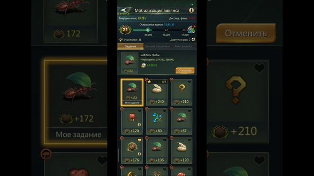 11.05.25 Ant Legion