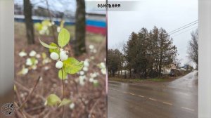 КУПИЛ XIAOMI 14T - ОЖИДАНИЕ И РЕАЛЬНОСТЬ