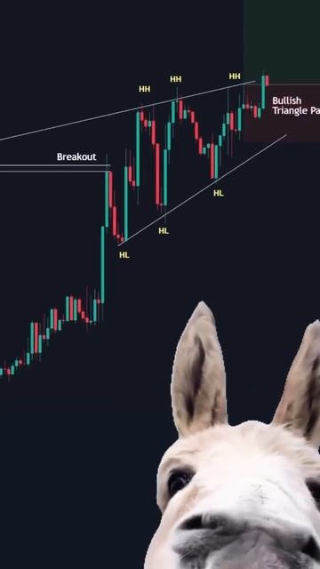 #trading #инвестиции #forex #акции #trader #crypto #cryptocurrency #криптова смотреть онлайн