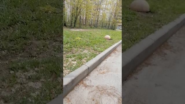 Прогулка погода в Санкт-Петербурге во 2й половине дня к стадиону СКА
к чертову дому