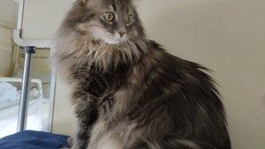 Дорога к морю