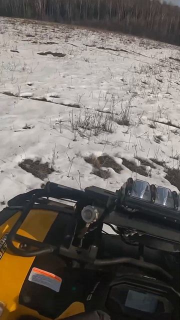 Дал бочком на леопардике  atv snow stels offroad mud brp stelsleopard cfmoto polaris
