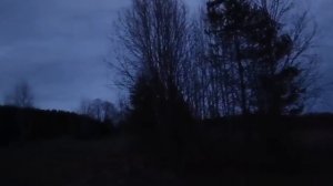 oxota.prof Где и как найти вальшнепа. Тяга в сумерках.