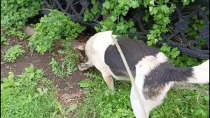 ИДЕМ СВОЕЙ ДОРОГОЙ НЕСМОТРЯ НИ НА ЧТО!!!!