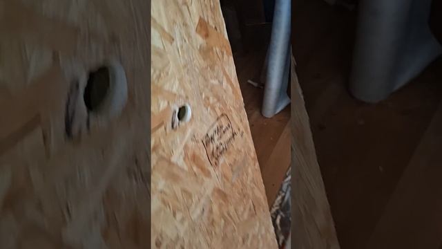 1000023484.mp4 (Собака смотрит на каркас для э/кабелей, установленный в доме А-фрейм)
