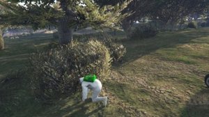 ВСЁ ПРО ГРИБЫ НА ГТА 5 РП МАДЖЕСТИК | 50К В ЧАС | ГАЙД ДЛЯ ?