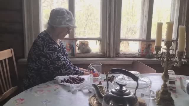 Из Англии в Россию - Обустраиваемся в деревне