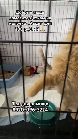 🆘Акция Дня 100 р на Молоко 🙏