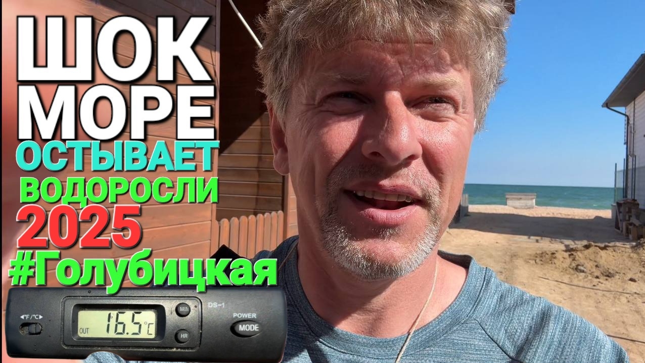 Море остывает + нашествие водорослей! Голубицкая онлайн, стрим