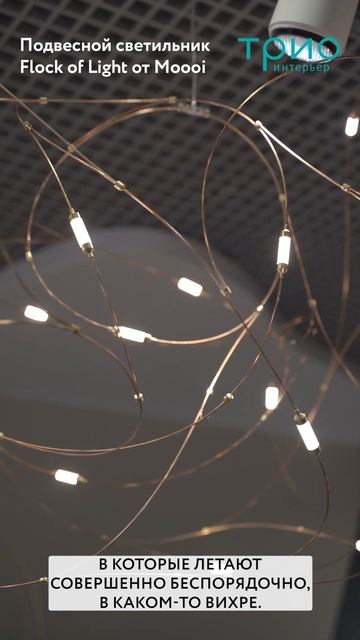 Подвесной светильник Flock of light 31 от Moooi смотреть онлайн