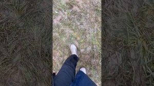 Сезонная работа в Англии 2024