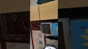 1000004515.mp4