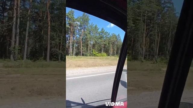 как друзья делают монтаж рекламы.