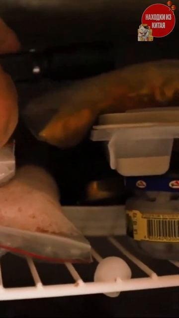 Фонарь который запретили в Европе смотреть онлайн