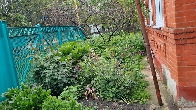 Воскресенье, выходного ,прекрасного дня всем!