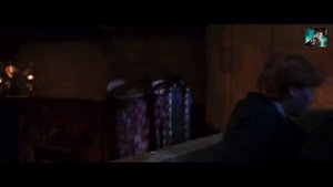 Гари потер и мандавошка. Гоблинский перевод. Часть 12