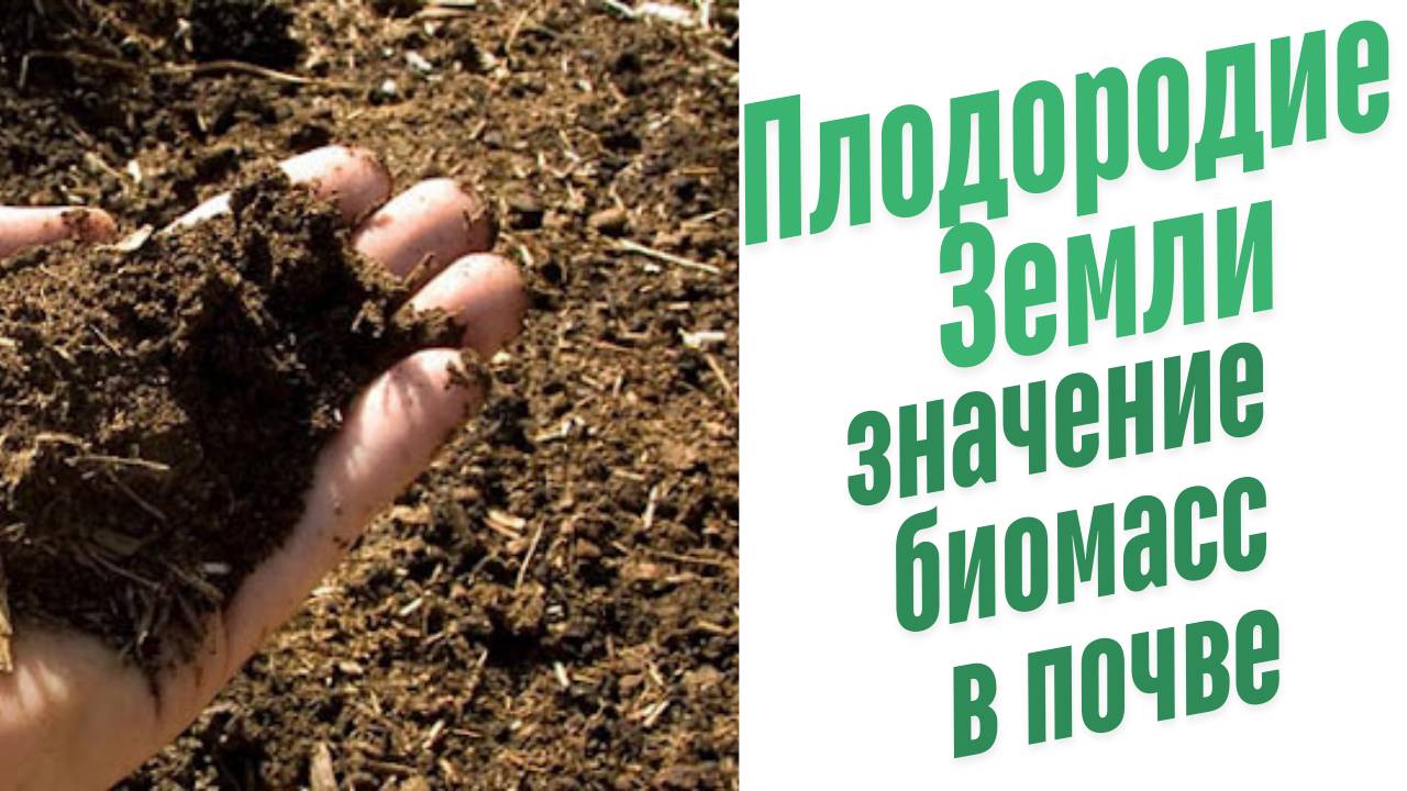 Особенности плодородия почвы.