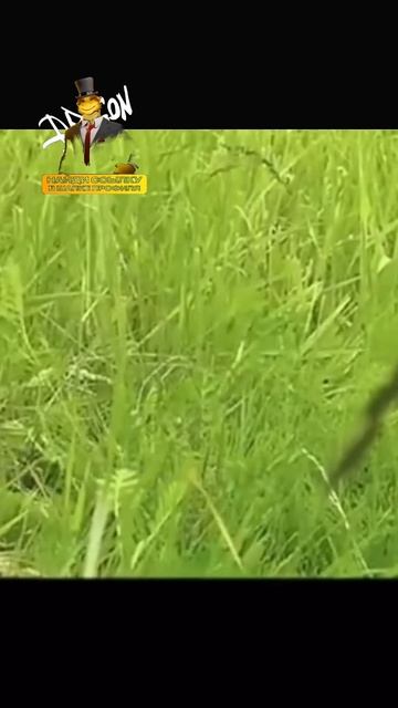 ДПСник подставил лучшего друга ради денег... смотреть онлайн