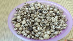 Заморозка шампиньонов на зиму