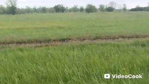 2 часть сереноголовый в реальной жизни 😨😱😱