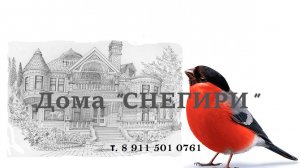Дома-бани СНЕГИРИ