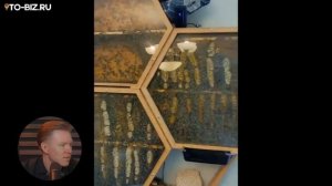 5 Бизнесов из Китая, которых НЕТ в СНГ! ЗОЛОТЫЕ Ниши 2025