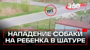 Алабай напал на ребенка в Шатуре: прохожие спасли мальчика