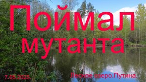 Поймал мутанта 07.05.2025. Лесное озеро. Путина.