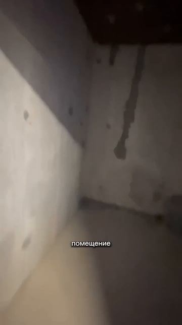 Го возродим актив за мои ремонтные старания 😭 ❤️#shorts смотреть онлайн