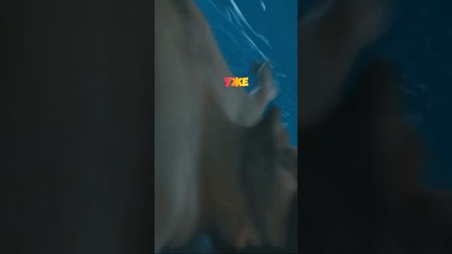 Кого обгонит человек