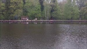 Утренний обзор с нижнего водоёма. Клёвое место, Лосиный остров.