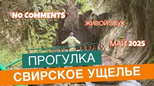 Прогулка Свирское ущелье. Лазаревское. Сочинский Национальный парк. Живой звук. Без комментариев.