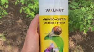 Средство от улиток