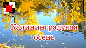 Калининградская осень - она бывает сказочной!
