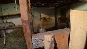 Влог от 08.09.2020