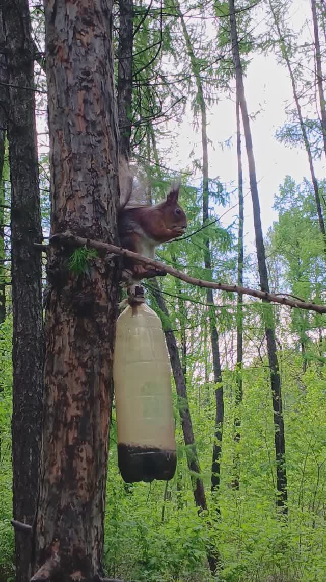 ОБЕД ПО РАСПИСАНИЮ...
