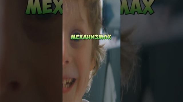 Где живет бактерия