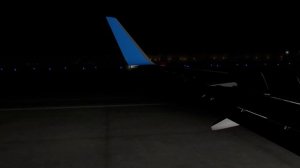 Победа 207 — ПОСАДКА в  ПУЛКОВО