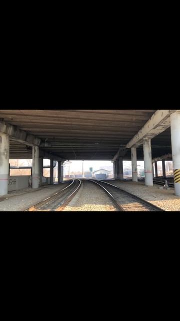 Фотались 20 лет в одном и том же месте каждый год!!! #влад смотреть онлайн