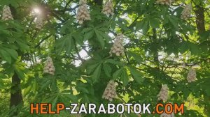 Привет из цветущей Ростовской области мини-отчет о моей прогулке по родной земле от 11 мая 2025 г