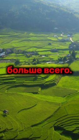 🤔ПИАР НА ТРАГЕДИИ!?#крипта #cryptotrading #crypto #криптовалюта