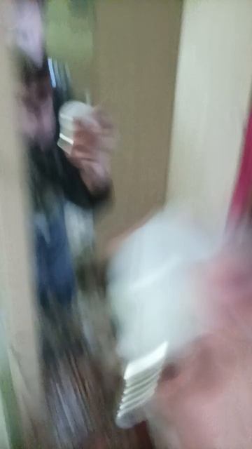 старт светодиодный лампы (LED шар) эра ECO LED P45-8W-840-E14 смотреть онлайн