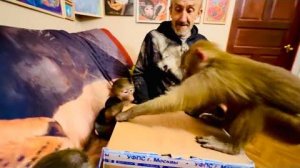 ТАК МИЛО! Всех убрали от Влада и Люська сразу стала СОВСЕМ ДРУГОЙ!