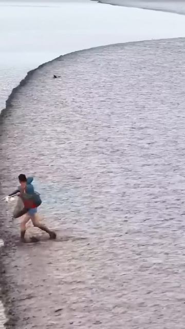 cara tradisional menangkap ikan #shortvideo #shortsviral #shorts