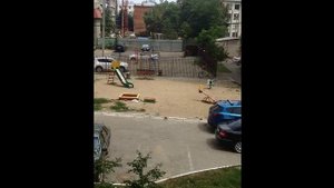 Краснодарские дети живодеры