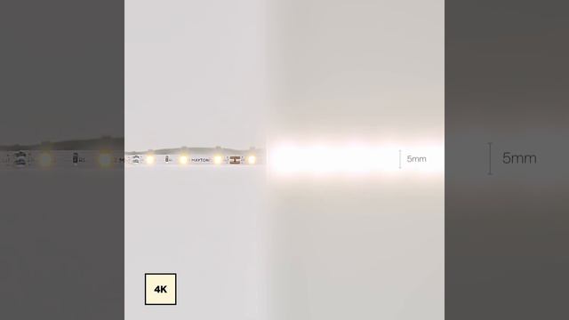 LED лента Maytoni Светодиодная лента 12В 20008 смотреть онлайн