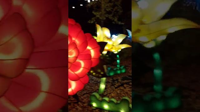 Выставка волшебных фонарей в парке Маяковского#екате? смотреть онлайн