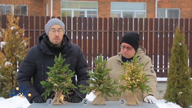 Гирлянды: как выбрать, чтобы избежать трагедии? смотреть онлайн